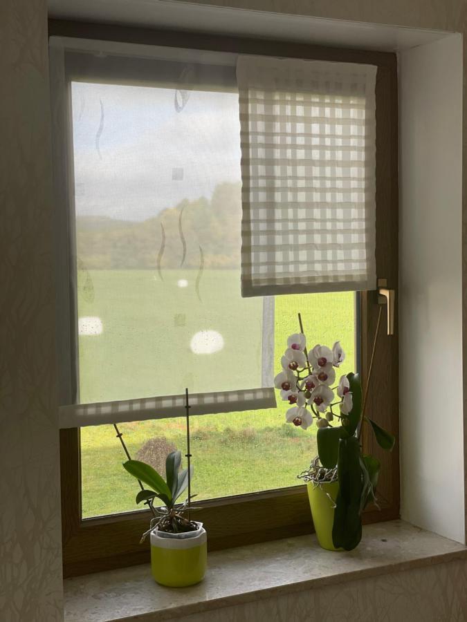Ferienwohnung Fam.Werner Wasungen 외부 사진